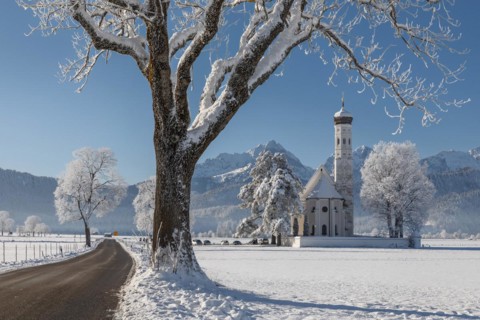 Pilgrimage church of St Coloman near Schwangau, Allgaeu, Swabia, Bavaria, Germany, Schwangau,