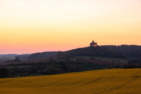 Landscape at sunrise. Beautiful morning landscape with fresh yellow rape fields in spring. Small
