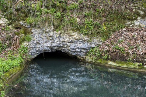 The Grosse Lauter disappears into the limestone, Grosses Lautertal near Lauterach, Munderkingen,