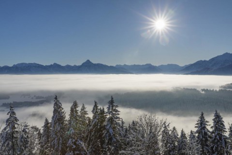 View from the Eisenberg castle ruins towards the Allgaeu Alps, Allgaeu, Swabia, Bavaria, Germany,