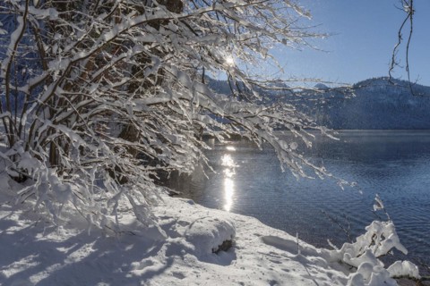 Hotel Alpenrose am Alpsee, Schwangau, Ostallgaeu, Swabia, Bavaria, Germany, Schwangau, Ostallgaeu,