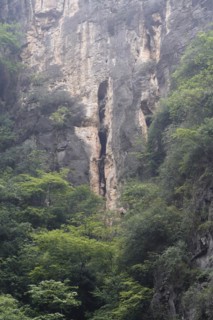 Cruise ship on the Yangtze River, Hubei Province, China, Asia, Green trees and plants growing in