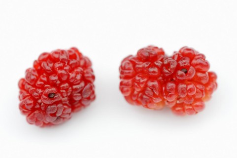 Strawberry spinach (Chenopodium foliosum, Blitum virgatum), fruits on a white background, vegetable