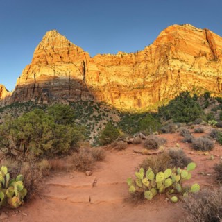 Watchman Mountain, Zion National Park, Colorado Plateau, Utah, USA, Zion National Park, Utah, USA,