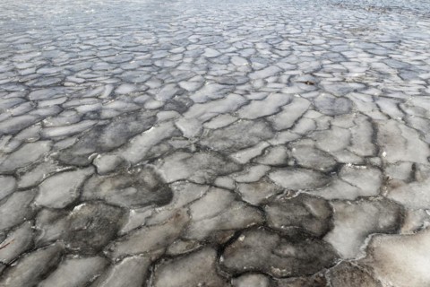 Winter, ice pattern formation, Chateauguay River, Province of Quebec, Canada, North America