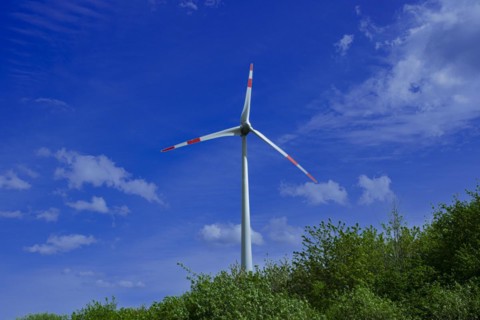 Wind turbine behind green trees at the Avacon substation Helmstedt, Helmstedt, Lower Saxony,