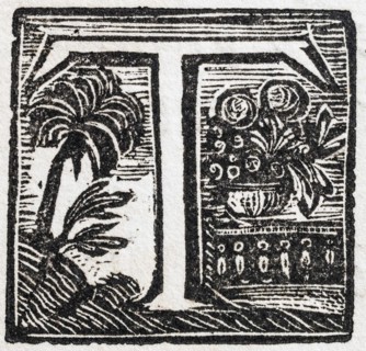 Initial or an initial T, decorative initial letter, woodcut, Mark Catesby, Natural History of