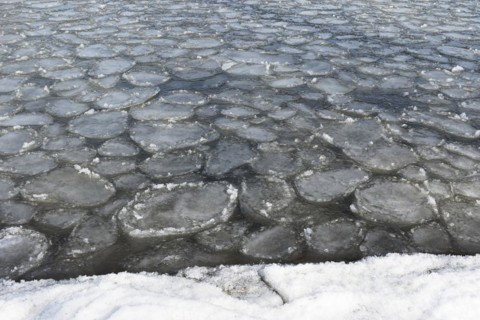 Winter, ice pattern formation, Chateauguay River, Province of Quebec, Canada, North America