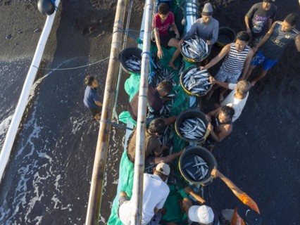 Fishermen unload their catch from their outrigger boat in the morning. Amed, Karangasem, Bali,
