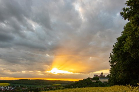 Landscape at sunrise. Beautiful morning landscape with fresh yellow rape fields in spring. Small