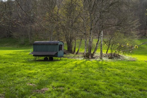Shepherd's cart in a meadow in the Wiesaztal valley in the Swabian Alb near Goenningen,