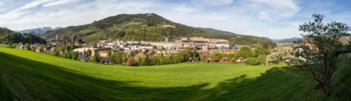 Cows grazing in front of the Donawitz steelworks of voestalpine AG, panoramic view, Donawitz