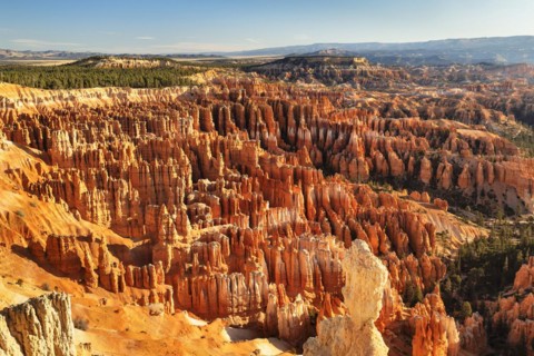 Bryce Amphitheatre at sunset, Bryce Canyon National Park, Colorado Plateau, Utah, United States,