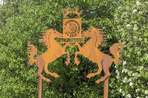 Sign of Sternstunde 2022 e.v. riding therapy, non-profit organisation, horse farm, Erdmannhausen,