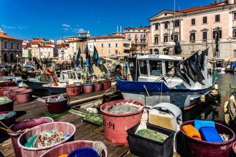Harbour basin with fishing port, harbour town of Piran on the Adriatic coast with Venetian flair,