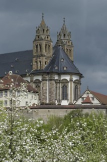 View of the Comburg, fruit blossom, fruit tree, spring, April, Way of St James, Benedictine