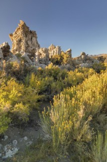 Tufa formations at Mono Lake, Mono Lake Tufa State Reserve, California, USA, Mono Lake Tufa State