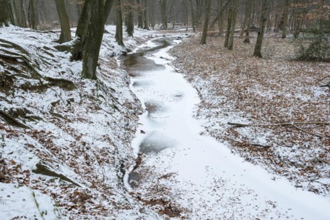 Handbach, tributary to the Rotbach, near-natural stream, beech forest, with ice and snow, between