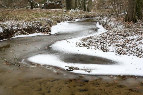 Rotbach, near-natural stream, beech forest, with ice and snow, between Bottrop and Oberhausen, Ruhr