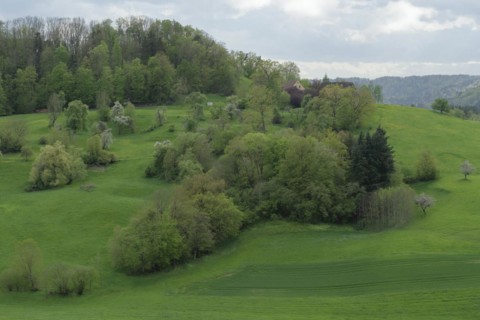 Spring in the Swabian-Franconian Forest nature park Park, Limpurger Berge, Buchhorn, Limpurger