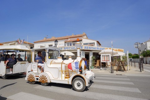 Railway or slow train in front of a restaurant, Les Saintes-Maries-de-la-Mer, Camargue,
