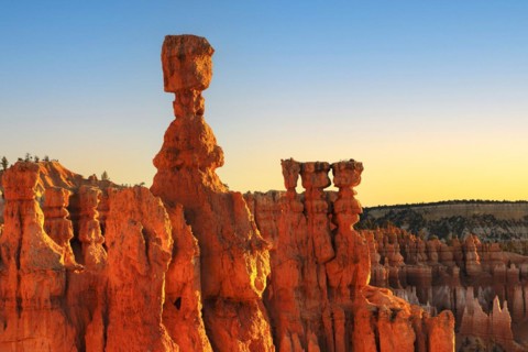 Thor's hammer at sunrise, Bryce Canyon National Park, Utah, USA, Bryce Canyon, Utah, USA, North