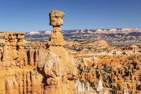 Thor's Hammer, Bryce Canyon National Park, Utah, USA, Bryce Canyon, Utah, USA, North America