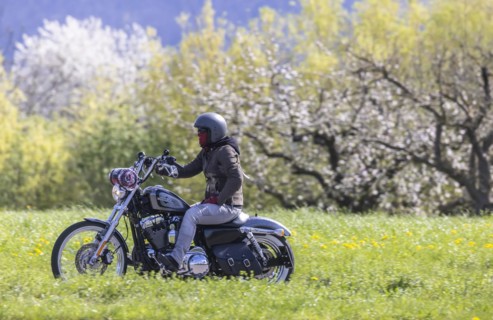 A motorbike rides through blossoming spring meadows, motorbike noise, Bissingen an der Teck,