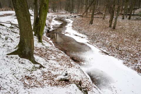 Rotbach, near-natural stream, beech forest, with ice and snow, between Bottrop and Oberhausen, Ruhr