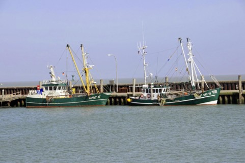 List, harbour, Sylt, North Frisian Island, Schleswig Holstein, fishing boats moored at a wooden