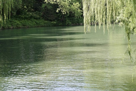 View of a calm water surface of a lake surrounded by green trees, New Summer Palace, Beijing,