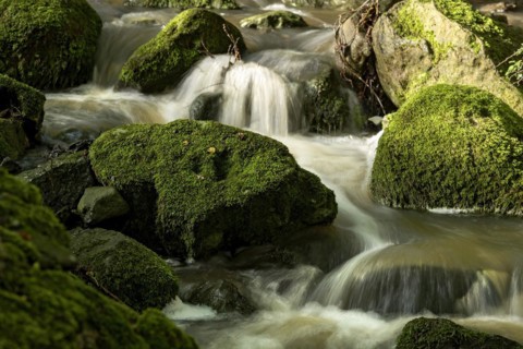 Mountain stream in the forest with mossy basalt rocks, blocks of basalt in the stream bed, Tertiary