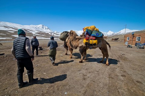 Start of an expedition with two camels to transport luggage in front of mountain peaks in the