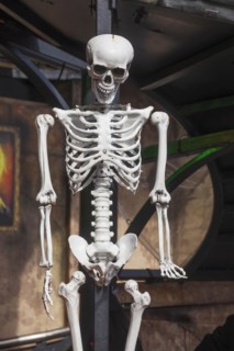 Skeleton with skull on a ghost train, decoration, figure at the Bremen Easter Fair, Buergerweide,