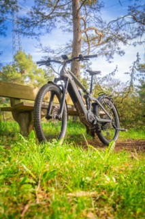 A mountain bike standing in the forest on grass with sunbeams in the background, spring, e-bike