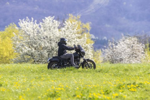 A motorbike rides through blossoming spring meadows, motorbike noise, Bissingen an der Teck,