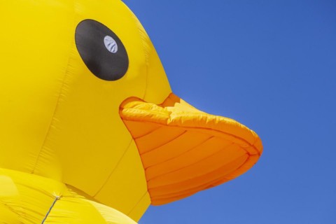 Yellow duck, decoration, figure at the Bremen Easter Fair, Buergerweide, Bremen, Germany, Europe