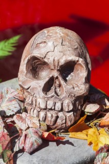 Skeleton with skull on a ghost train, decoration, figure at the Bremen Easter Fair, Buergerweide,