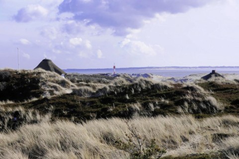 Houses, Hoernum, Sylt, North Frisian Island, view over dunes with grasses to a distant lighthouse