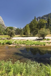 Merced River in the Yosemite Valley, Yosemite National Park, California, United States, USA,