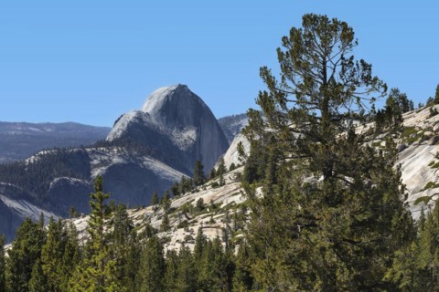 View from Olmsted Point to Half Dome, Yosemite National Park, California, United States, USA,