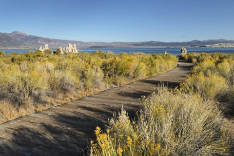 Mono Lake, Mono Lake Tufa State Reserve, California, USA, Mono Lake Tufa State Reserve, California,