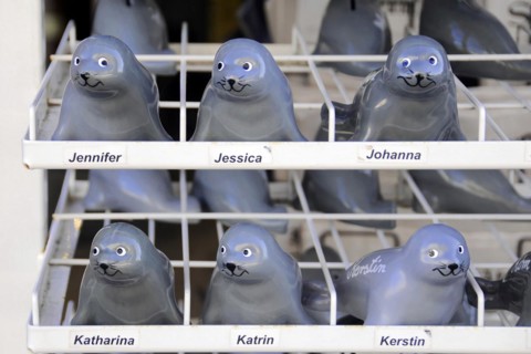 Sylt, North Frisian island, Schleswig-Holstein, ceramic seal figurines on a shelf, each labelled