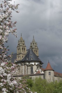 View of the Comburg, fruit blossom, fruit tree, spring, April, Way of St James, Benedictine