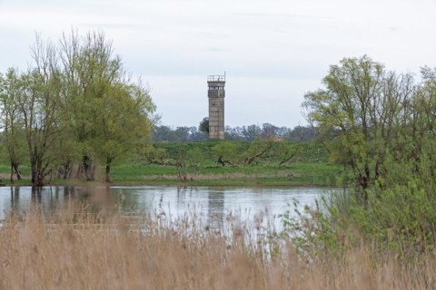 Former watchtower of the GDR, watchtower, trees, reeds, water, Elbe, Elbtalaue near Bleckede, Lower