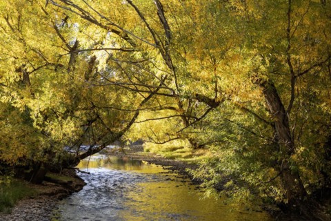 Wheat Ridge, Colorado, Clear Creek in autumn, flowing from the Rocky Mountains towards the South