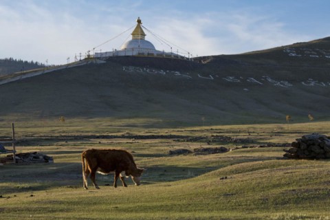 New stupa in the Buddhist monastery complex, Amarbayasgalant Monastery, Selenge Aimak, Selenge