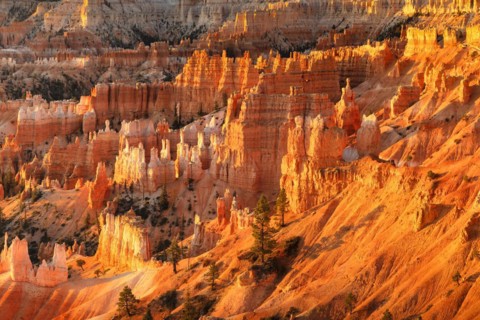 Bryce Amphitheatre at sunrise, Bryce Canyon National Park, Colorado Plateau, Utah, United States,