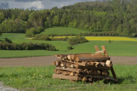 Spring by the Bilz near Michelbach, wood pile, firewood, rape field, Schwaebisch-Fraenkischer Wald