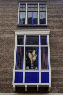 Decorated window, flowers, sparse, design, dutch, decoration, decorated, house, facade,